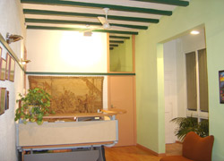 Imatges de la galería